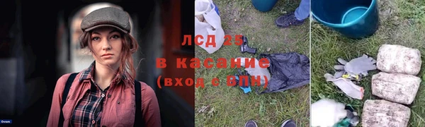прущие грибы Покровск