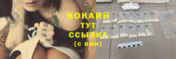 spice Богданович