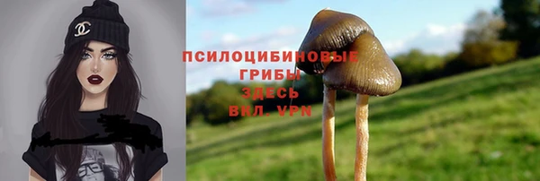 spice Богданович