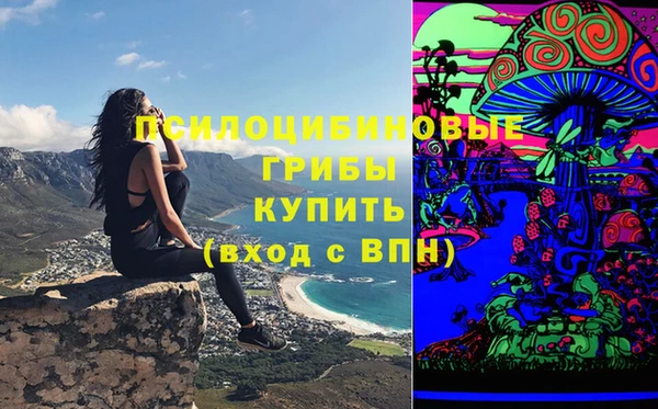 а пвп мука Богородск